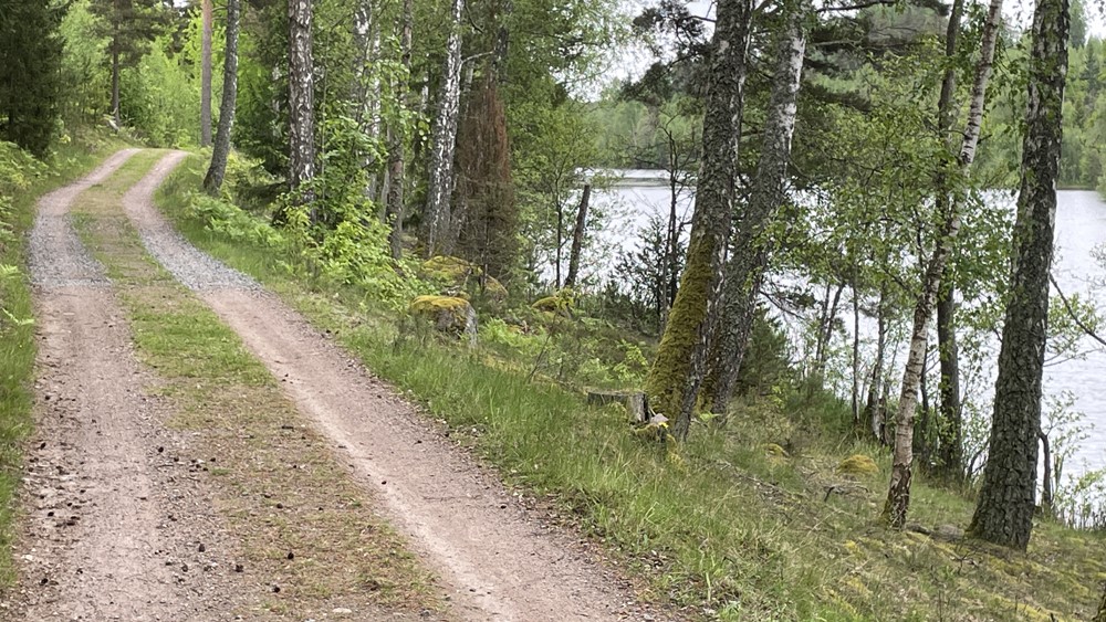 Byavandring