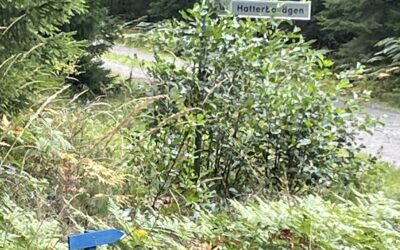 Pil vid Fridlysningen